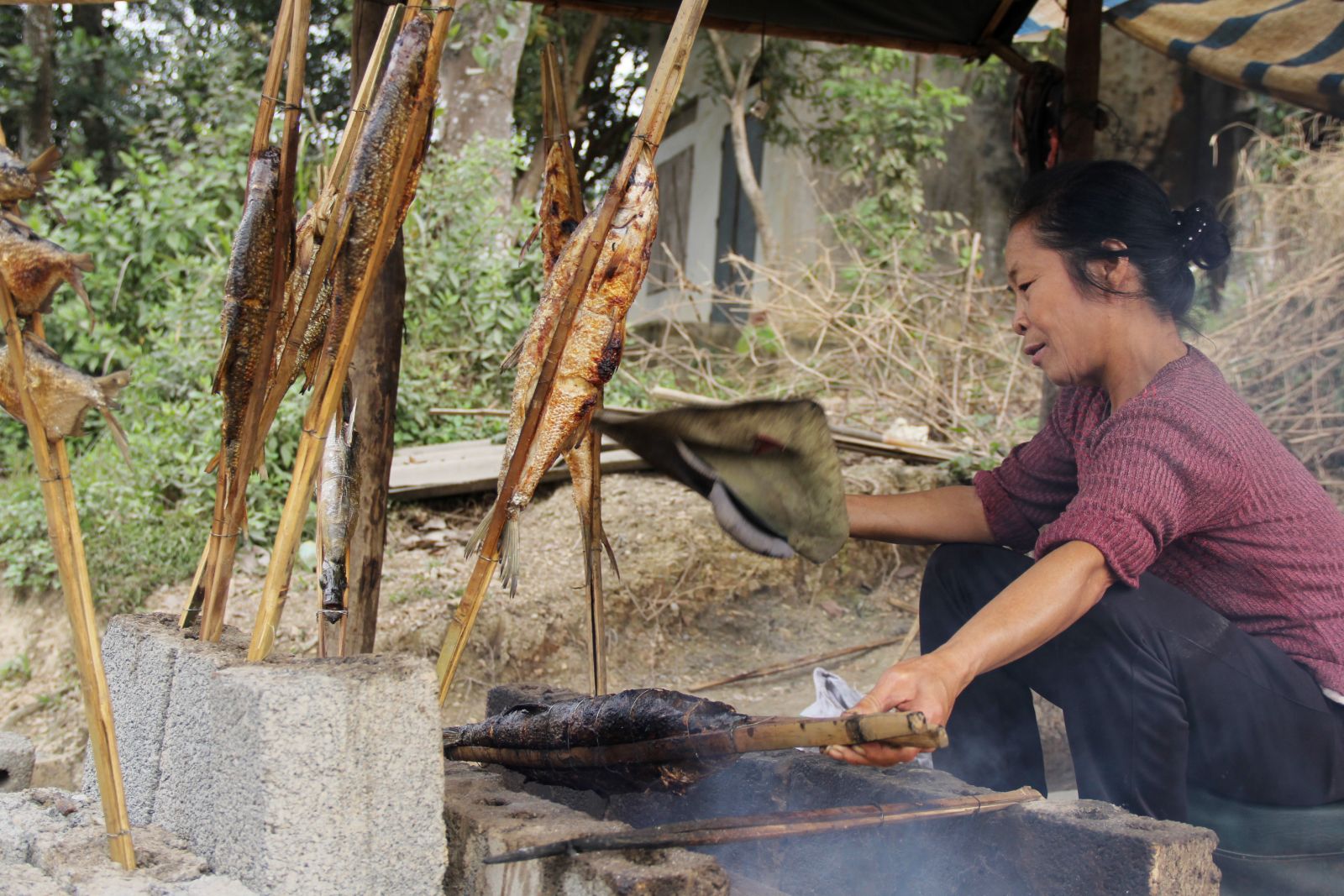 du-lich-hoa-binh-tour-du-lich-mien-bac-gia-re